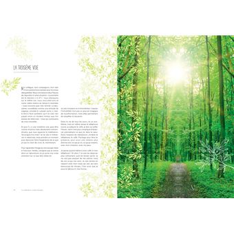 Mon école du Bonheur