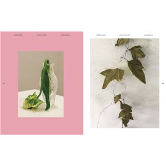 The Steidz : Vincent Olinet - Hors Décor