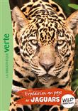 Wild Immersion 09 - Expédition au pays des jaguars