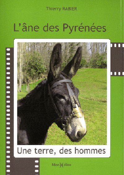 L'âne des pyrénées