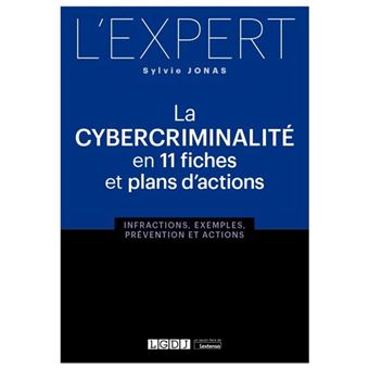 La cybercriminalité en 11 fiches et plans d'actions