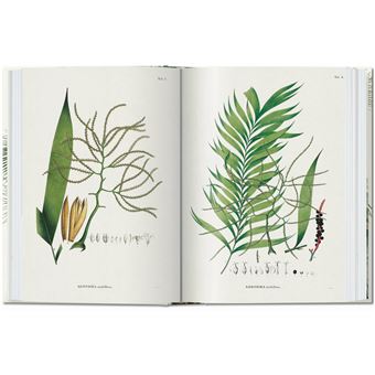 Martius. The Book of Palms. 40th Ed.