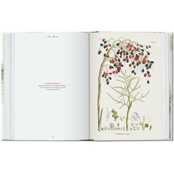 Martius. The Book of Palms. 40th Ed.