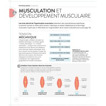La science de la musculation