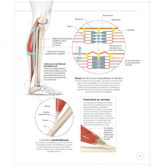 La science de la musculation