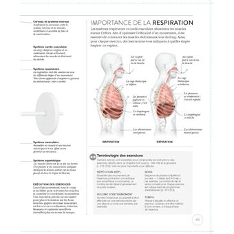 La science de la musculation