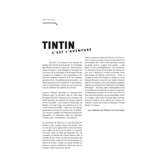 Tintin - C'est l'aventure 6