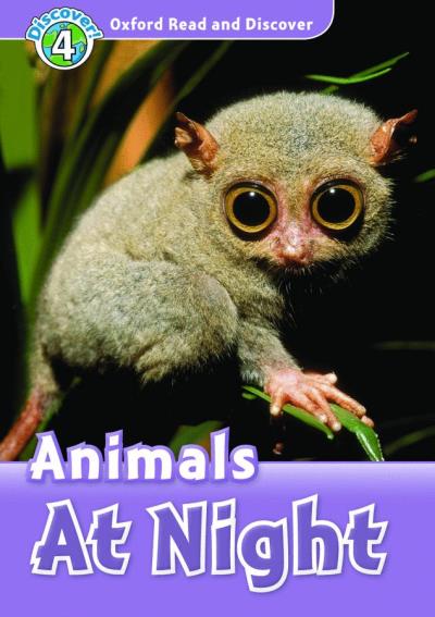 Animals at night, niveau 4