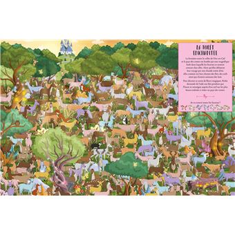 Où sont cachées les licornes ? Au pays des contes