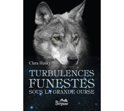 Turbulences funestes sous la grande ourse - Clara HUSKY - broché