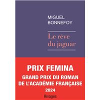Le rêve du jaguar