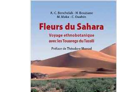 Fleurs du sahara