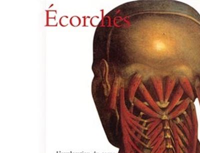 Écorchés