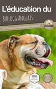 L'éducation du Bulldog Anglais