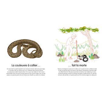 Dis, comment te défends-tu?