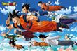 Poster Dragon Ball Super Flying