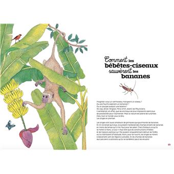 Le Bestiaire mauricien