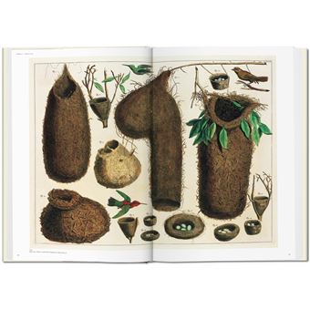 Seba. Cabinet of Natural Curiosities