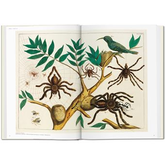 Seba. Cabinet of Natural Curiosities