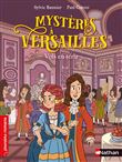Mystères à Versailles - Vols en série