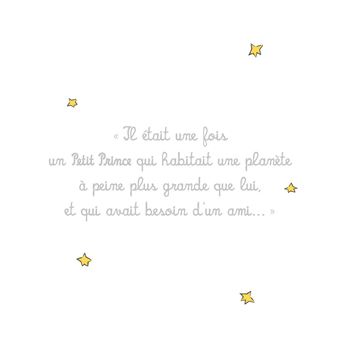 LE PETIT PRINCE ET LES ANIMAUX