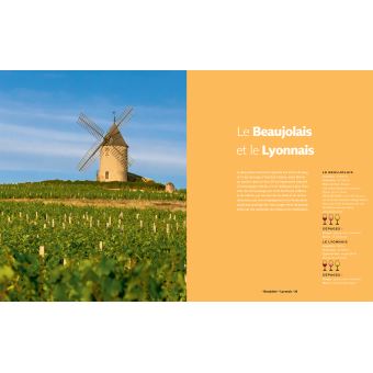 Les 600 meilleurs vins de France 2019-2020