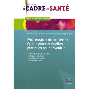 Profession infirmiere : quelle place et quelles pratiques pour l'avenir ...