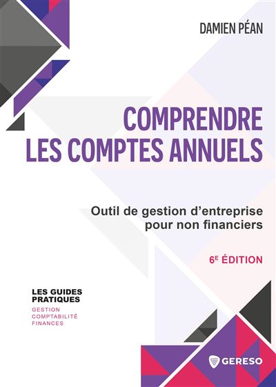Comprendre les comptes annuels - Damien Pean - broché