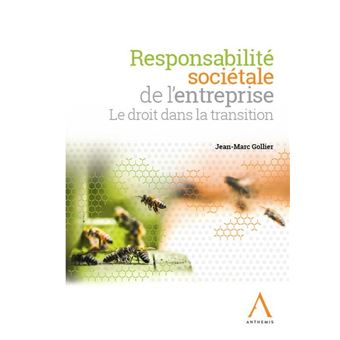 Responsabilite societale de l'entreprise