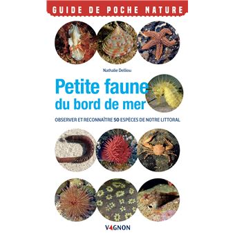 Petite faune du bord de mer - Observer et reconnaître 50 espèces de notre littoral