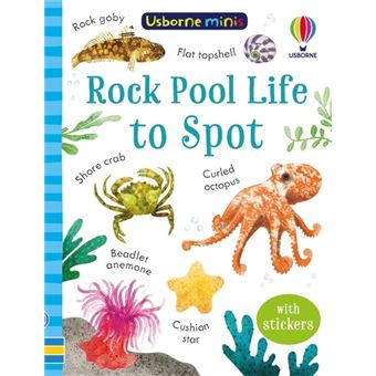 Rock Pool Life to Spot