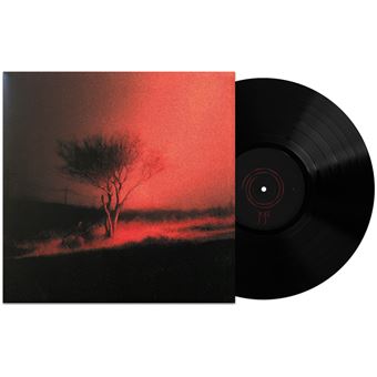 Piss In The Wind : Vinyle album en Joji : tous les disques à la Fnac