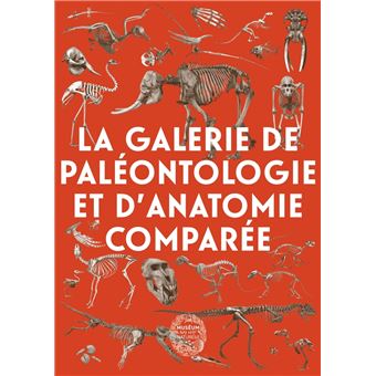 La galerie de paléontologie et d'anatomie comparée
