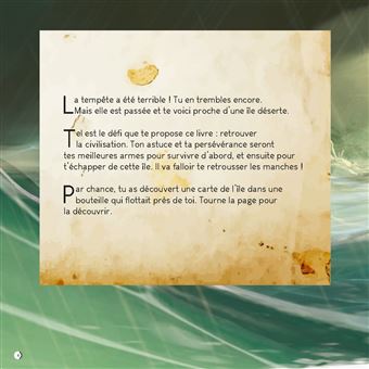 Escape game - Naufragé sur l'île sauvage