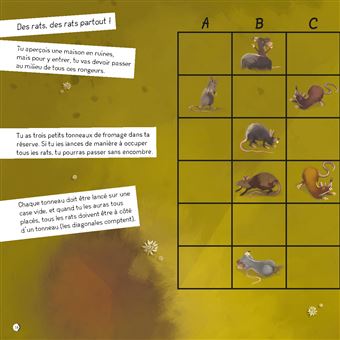 Escape game - Naufragé sur l'île sauvage