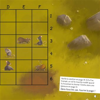 Escape game - Naufragé sur l'île sauvage