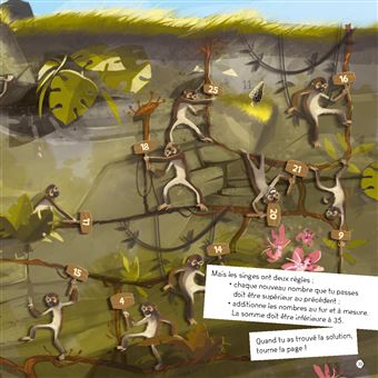 Escape game - Naufragé sur l'île sauvage