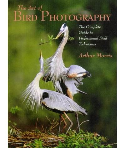 Art of bird photography complete guide to professionel field