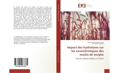Impact des hydrolases sur les caractéristiques des moûts de sorgho