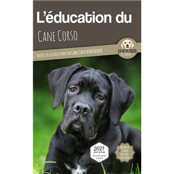 L'éducation du Cane Corso