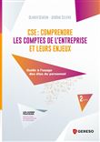 CSE : comprendre les comptes de l'entreprise et leurs enjeux