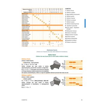 Végétation du nord de la France