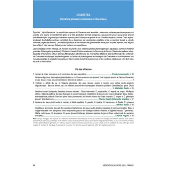 Végétation du nord de la France
