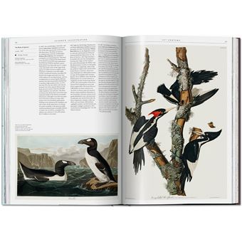 Science Illustration. A History of Visual Knowledge from the 15th Century to Today