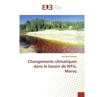 Changements climatiques dans le bassin de N'Fis, Maroc