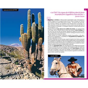 Guide du Routard Chili et Île de Pâques 2020/21