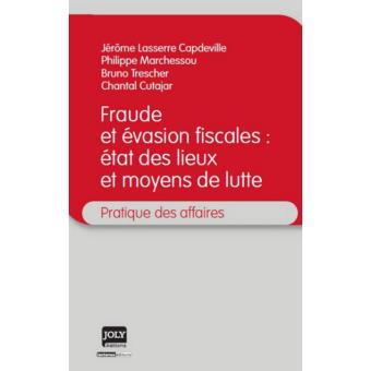 Fraude Et évasion Fiscales : état Des Lieux Et Moyens De Lutte Etat Des ...