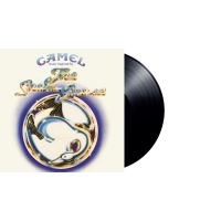 Snow goose -hq/download-
