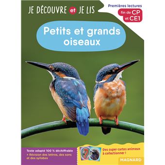 Je découvre et je lis CP et CE1 - Petits et grands oiseaux