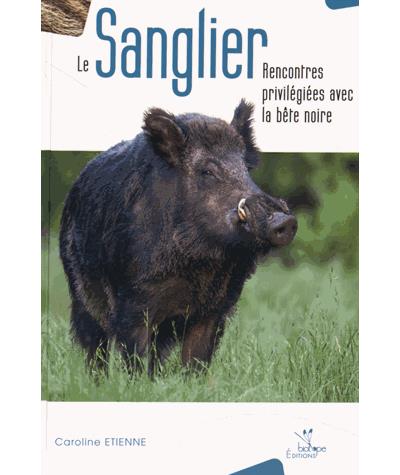Le sanglier